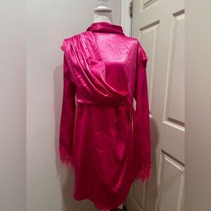 L'ATISTE Fuchsia Long Sleeve Dress with Feather Accents